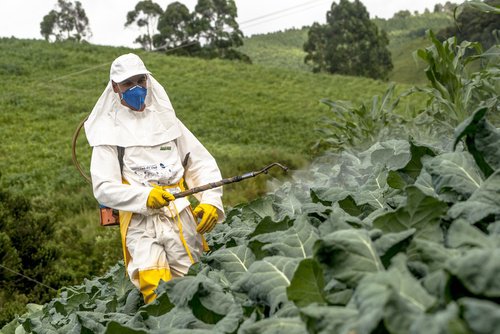 uomo che spruzza pesticidi