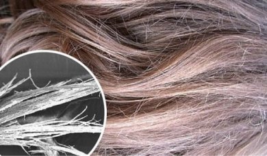 Rimedi naturali per riparare i capelli bruciati