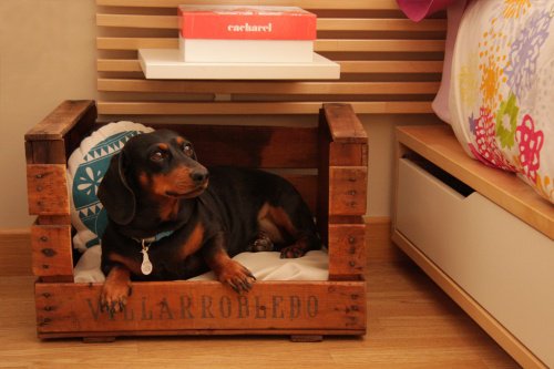 cassette per la frutta cuccia per il cane