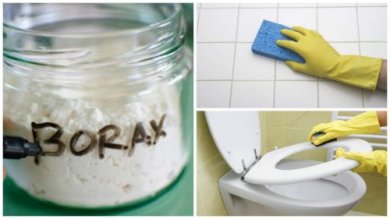 Borace in casa: 8 modi per utilizzarlo