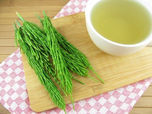 coda cavallina e infuso