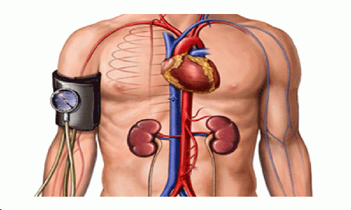 la pressione del sangue è uno dei valori più importanti da tenere sotto controllo