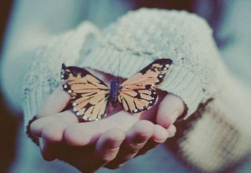 donna con farfalla tra le mani amare