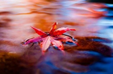 Lasciar correre: un ottimo rimedio per combattere lo stress