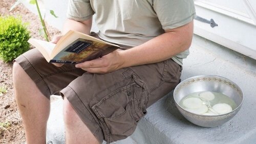 repellente la cipolla