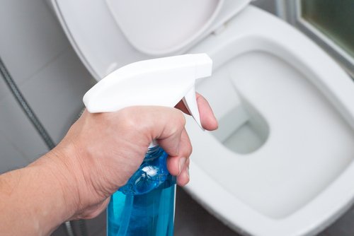 Cattivi odori in bagno: combatterli con prodotti naturali