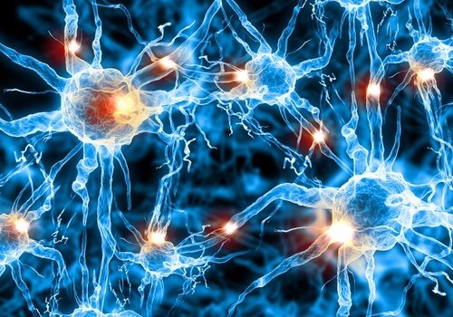 La brain gym aiuta a mantenere in forma il cervello