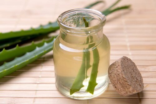 Il succo del aloe vera