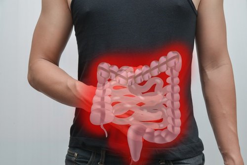 intestino cancro al colon