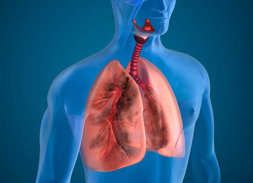 10 alimenti che aiutano i fumatori a depurare i polmoni