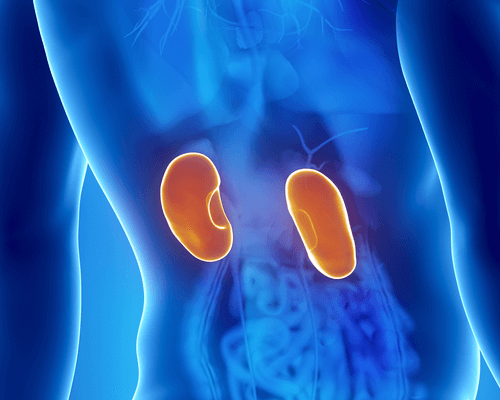 Problemi ai reni