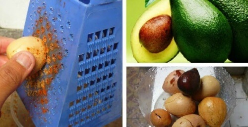 Seme dell’avocado: 10 proprietà per la salute e la bellezza