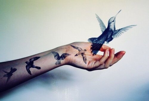 Colibri su una mano.