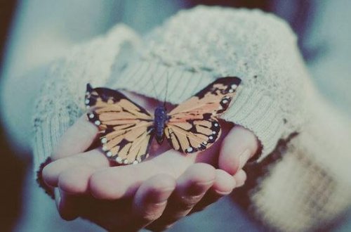farfalla su mani
