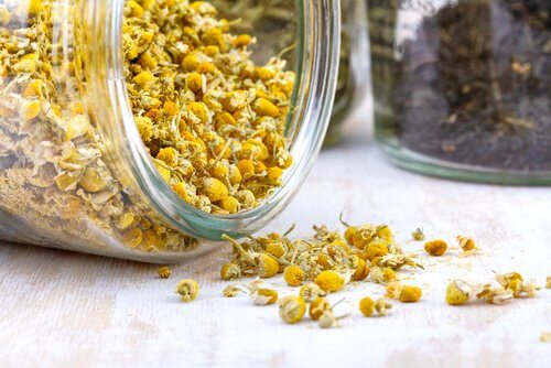 Fiori di camomilla per tingere i capelli biondi