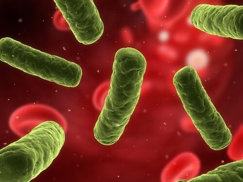 Rafforzare il sistema immunitario