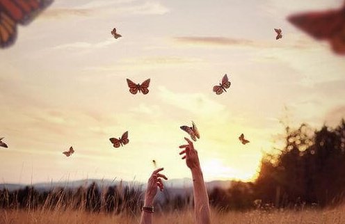 mani che cercano di raggiungere farfalle che volano