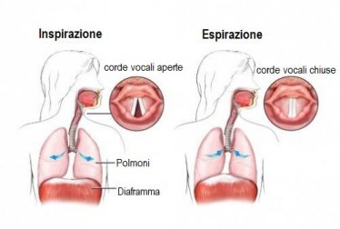 Eliminare il singhiozzo con 5 trucchi efficaci
