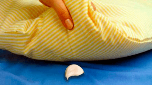 Spicchio d’aglio sotto il cuscino: quali sono i benefici