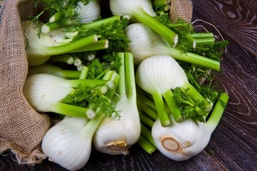 finocchio gas intestinali