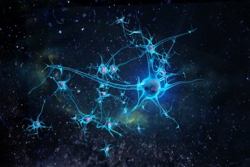 l'attività fisica migliora la memoria e l'apprendimento