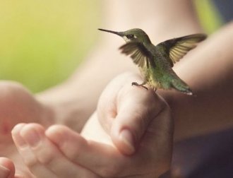 Distacco emotivo: niente deve possedervi