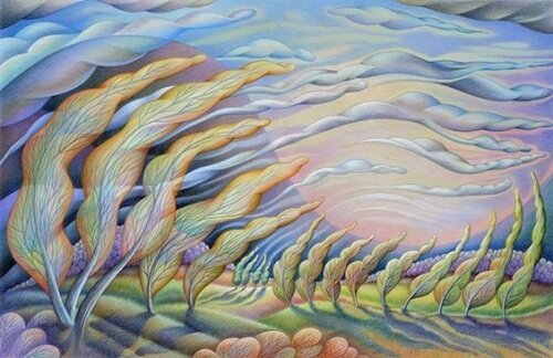 Alcune cose accadono nuvole alberi