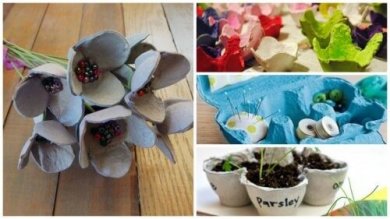 Riciclare i cartoni delle uova per creare utili oggetti