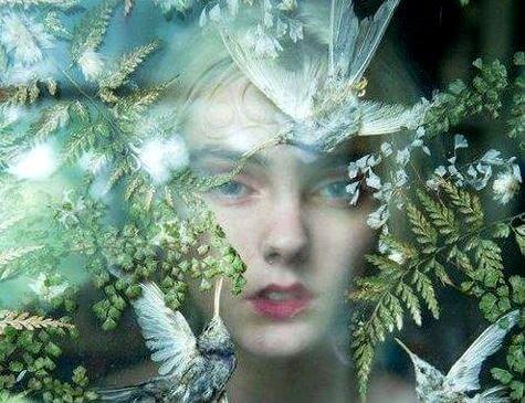 donna tra foglie e uccelli