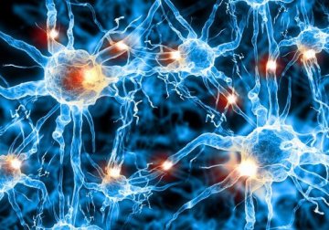 Nuovo trattamento contro l'Alzheimer