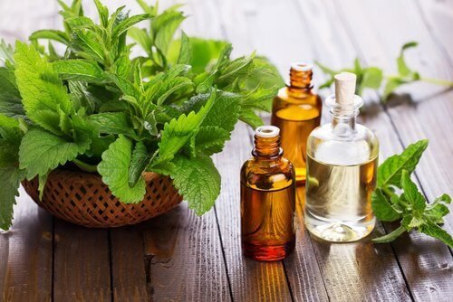 olio essenziale di menta per decongestionare le vie respiratorie