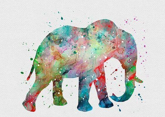 rabbia-in-elefante-colorato