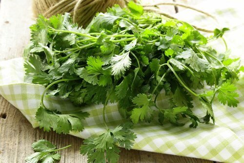 il coriandolo possiede un grande potere diuretico