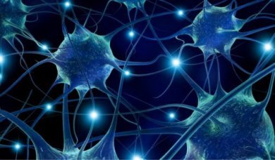 7 alimenti che migliorano la connettività dei neuroni