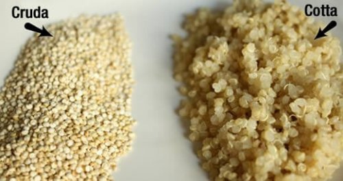 quinoa