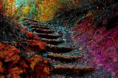 La scala della vita: come migliorare in 5 passi