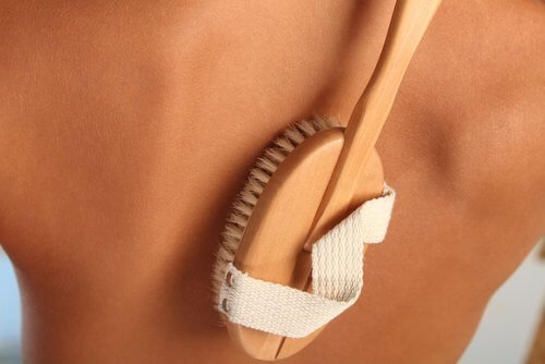 spazzola per il corpo