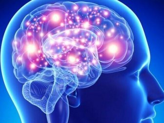 Le migliori erbe e spezie per il cervello