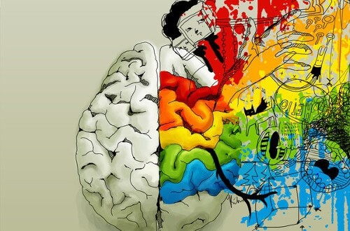 cervello e creatività