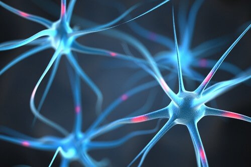 le persone che sfiniscono aumentano lo stress, che riduce le connessioni nella zona dell'ippocampo