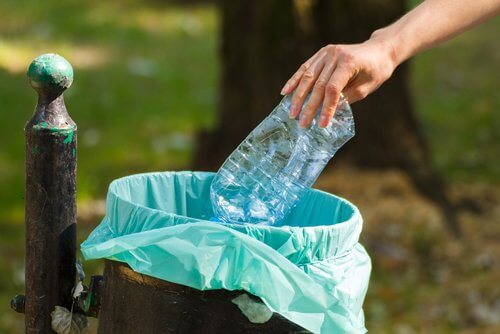gettare plastica nel cestino