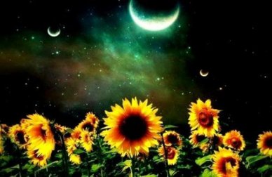 Il vuoto emotivo e come combatterlo