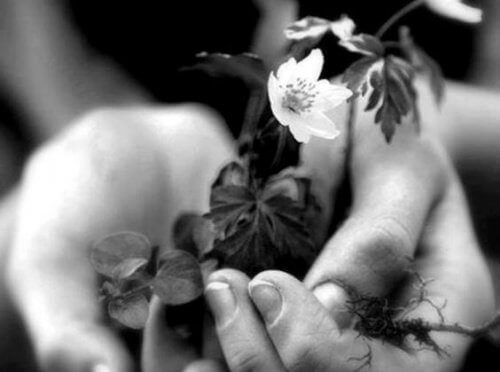 mani-con-fiore