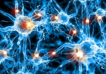Come diagnosticare precocemente l'Alzheimer attraverso il linguaggio