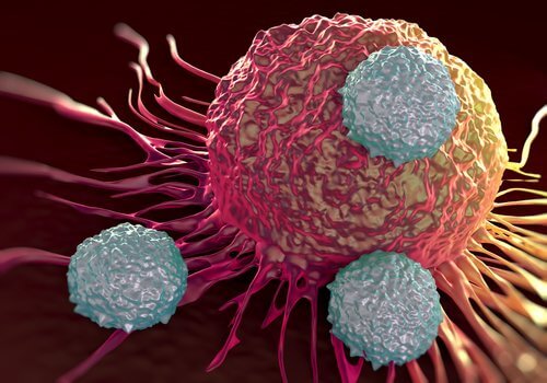 crioablazione delle cellule cancerogene