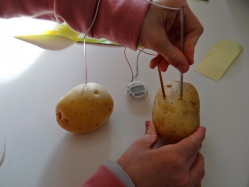 collagare patata con cavi rame