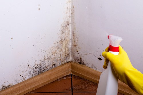 Eliminare le macchie di umidità da pareti e soffitti