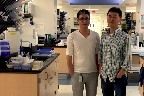 due uomini in laboratorio