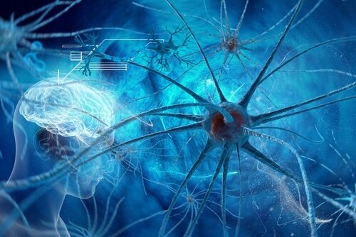 neuroni