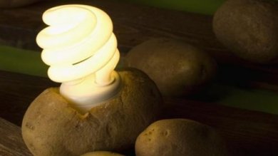 Una patata: scoprite come illuminare la vostra stanza